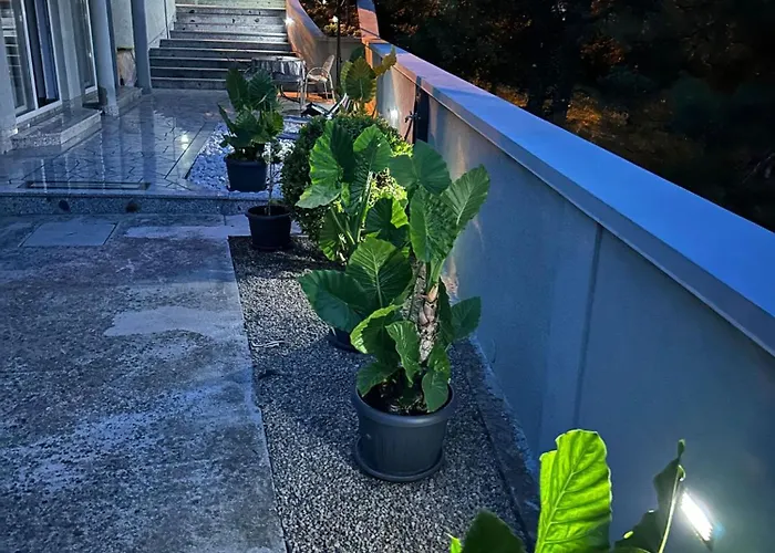 Apartman Jasna Novi Vinodolski